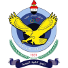 巴格达空军队徽