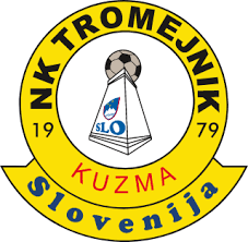 特罗尼克队徽