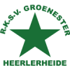 RKSV格罗内队徽