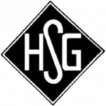 霍尔济姆SG队徽