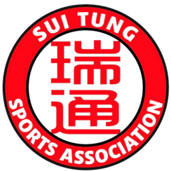 瑞通队徽