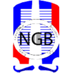 NGB尼亚里塔利队徽
